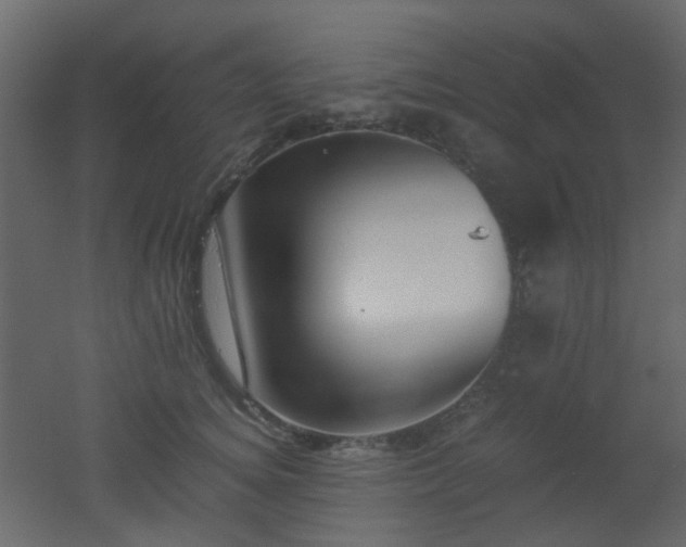 X0000051910756200506241442