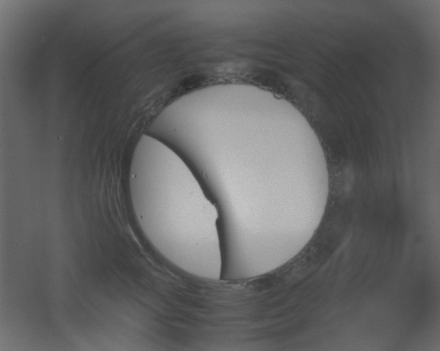 X0000051910757200506241443