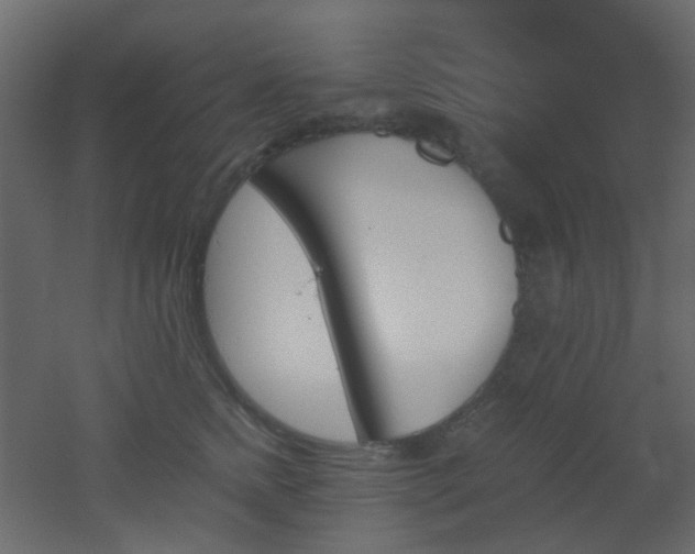 X0000051910758200506241443