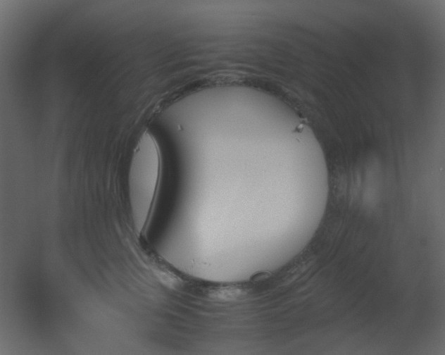 X0000051910759200506241443