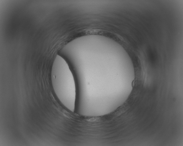 X0000051910761200506241443