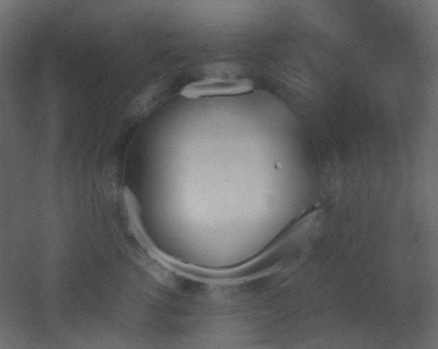 X0000051910762200506241443