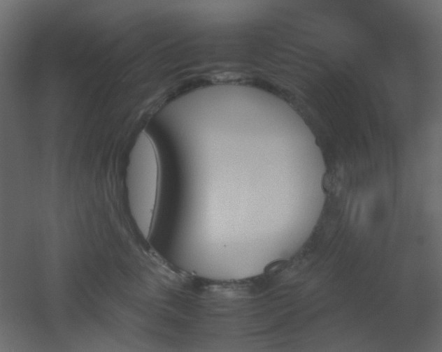 X0000051910763200506241443