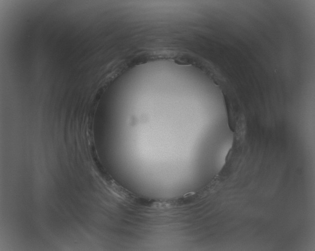 X0000051910764200506241443