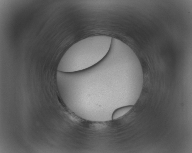 X0000051910765200506241443