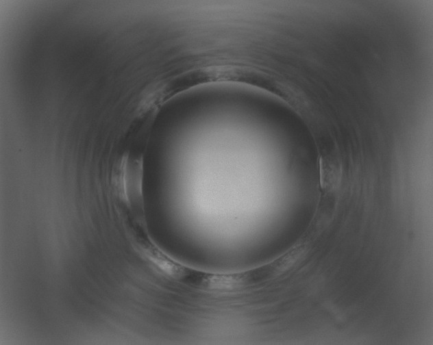 X0000051910766200506241443