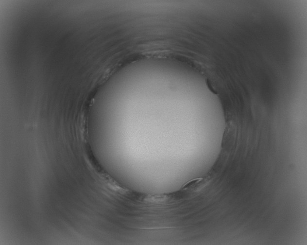 X0000051910767200506241443