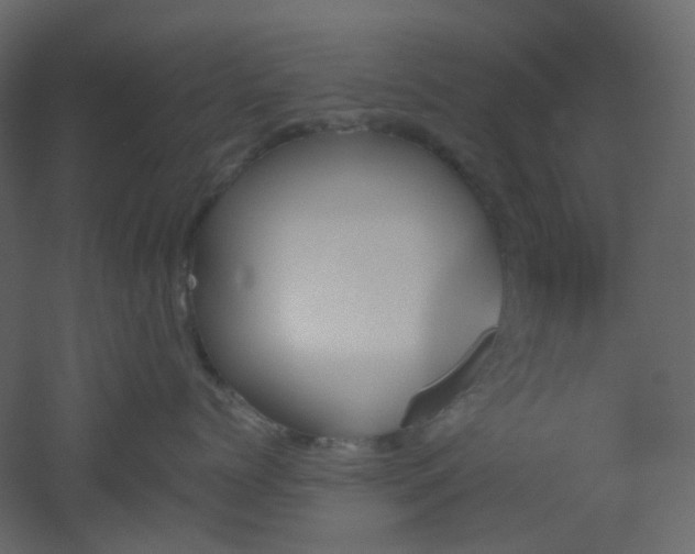 X0000051910768200506241443