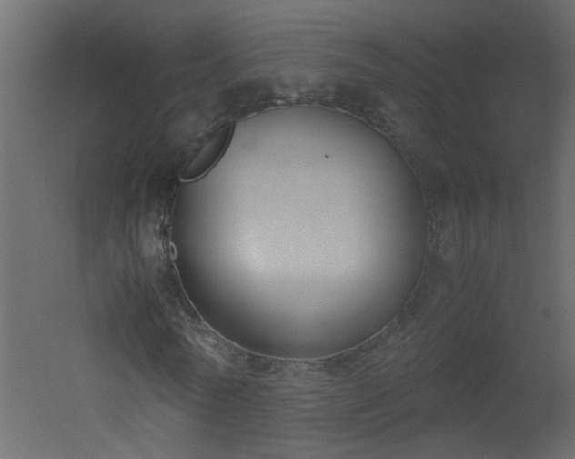 X0000051910770200506241442