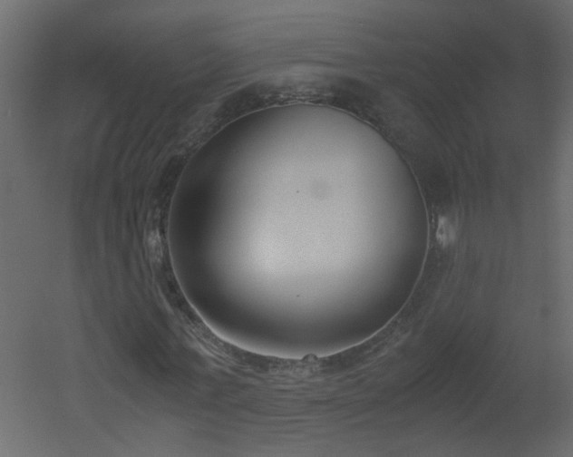 X0000051910771200506241442