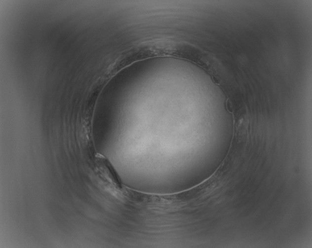 X0000051910772200506241442