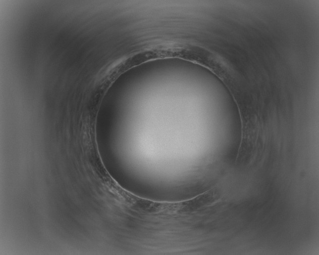 X0000051910773200506241442