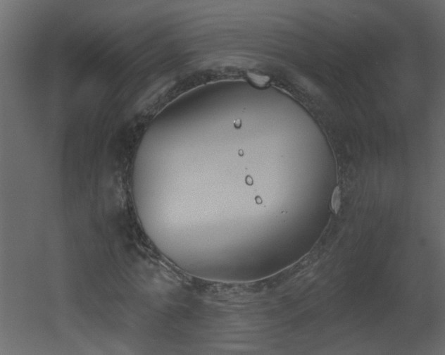 X0000051910774200506241442