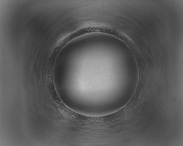 X0000051910775200506241442