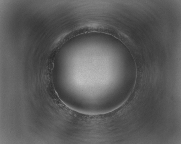 X0000051910776200506241442