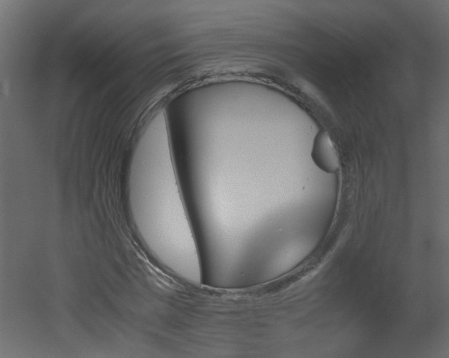 X0000051910777200506241442