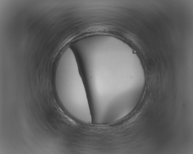 X0000051910778200506241442