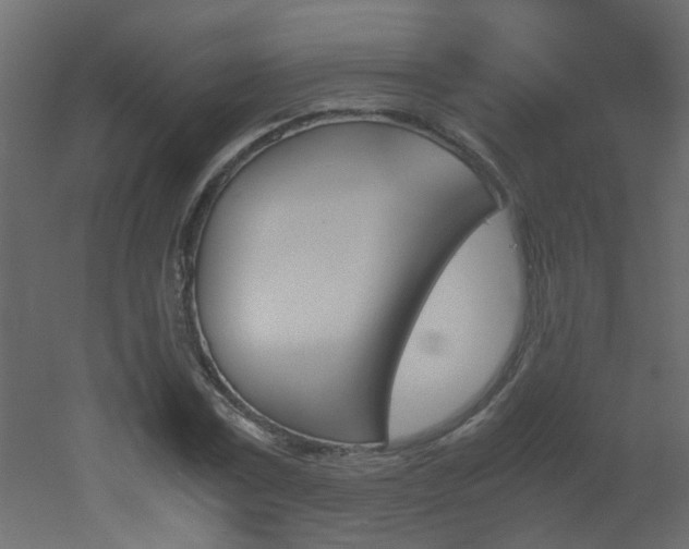 X0000051910779200506241442