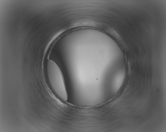 X0000051910780200506241442