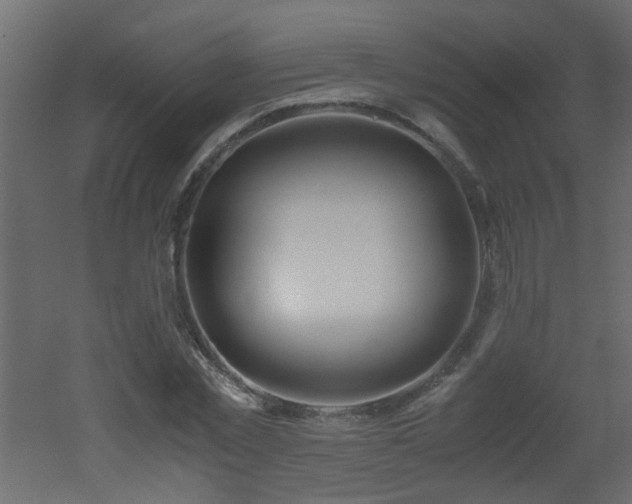 X0000051910781200506241442