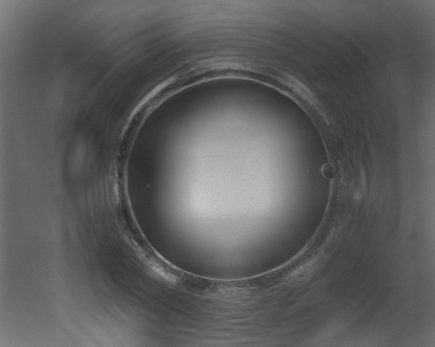 X0000051910782200506241442