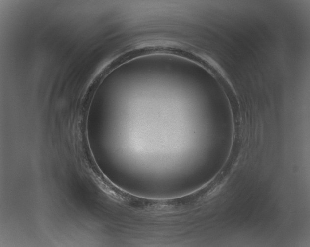 X0000051910783200506241442