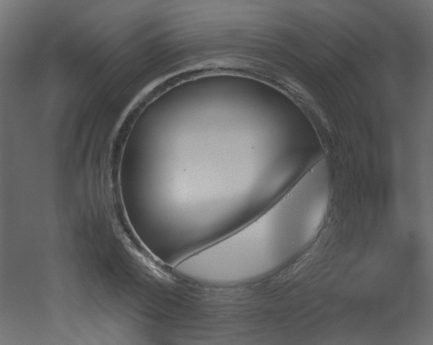 X0000051910784200506241442