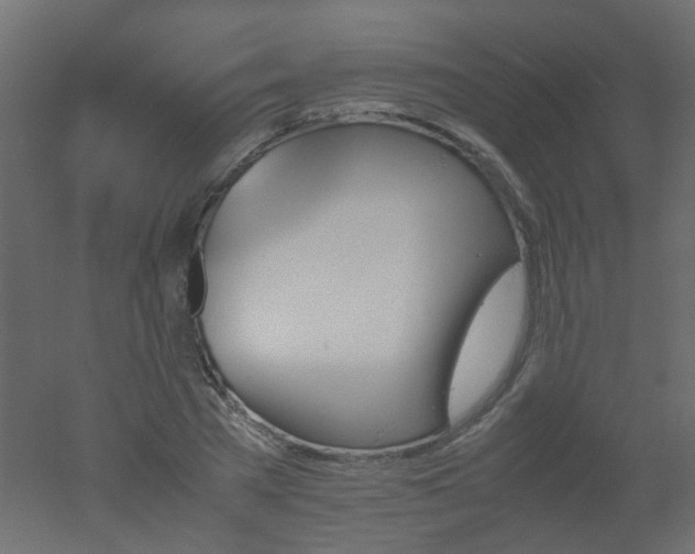 X0000051910785200506241442