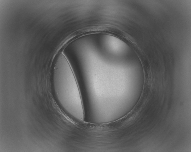 X0000051910786200506241442