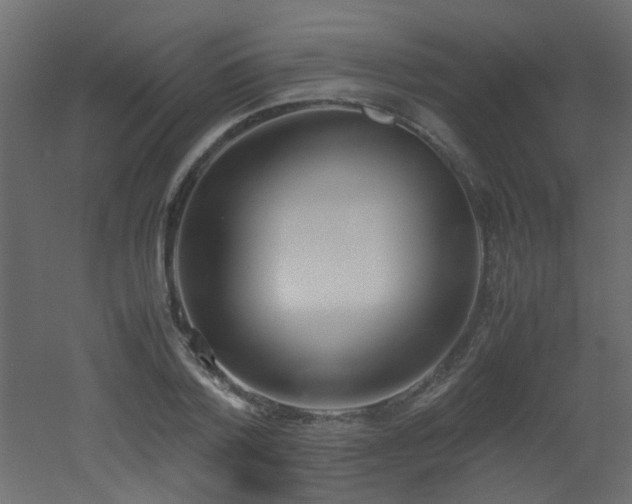 X0000051910788200506241442