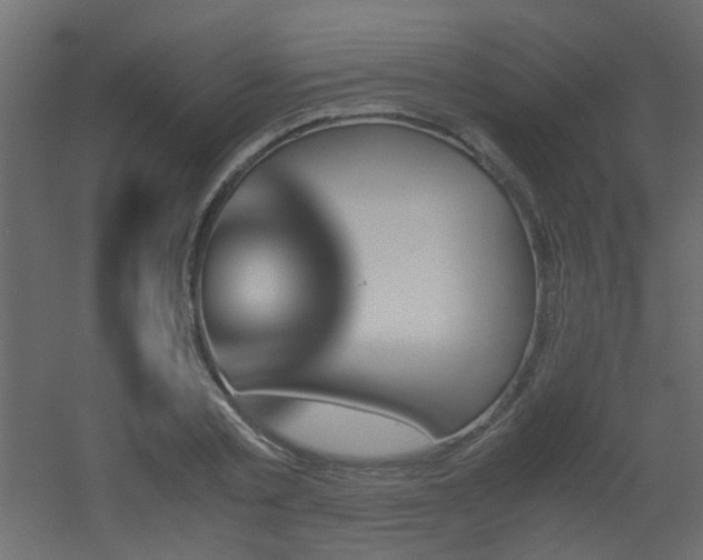 X0000051910789200506241442