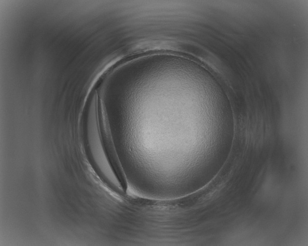 X0000051910790200506241442