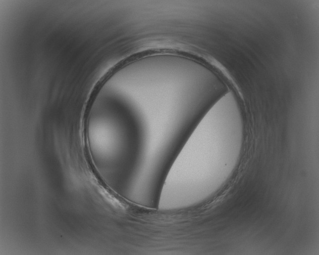 X0000051910791200506241442