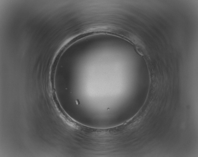 X0000051910792200506241441