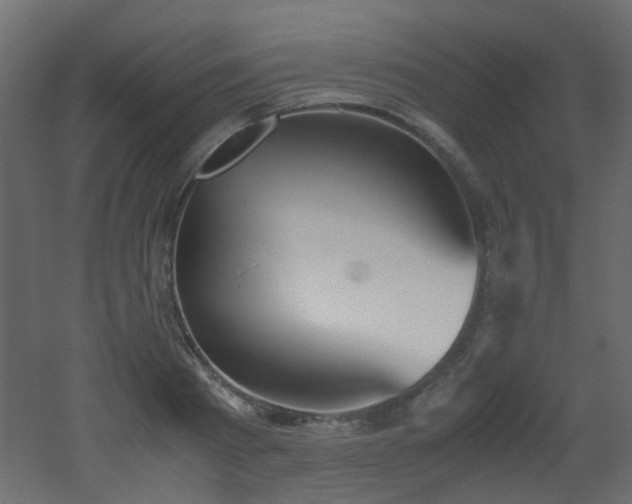 X0000051910793200506241441