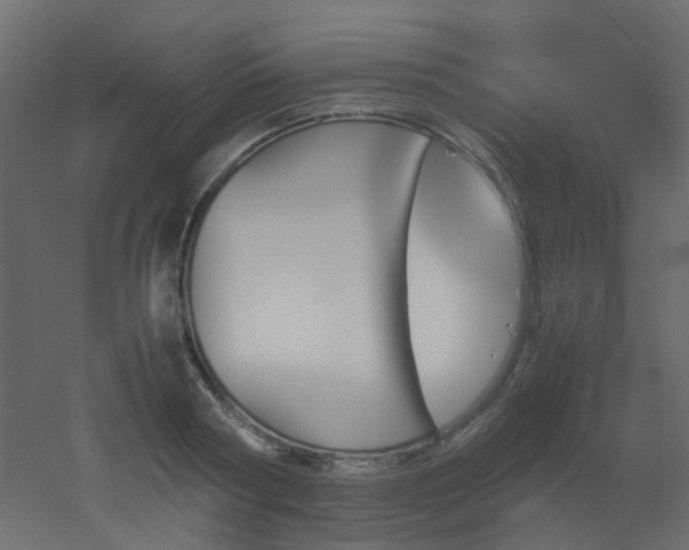 X0000051910794200506241441