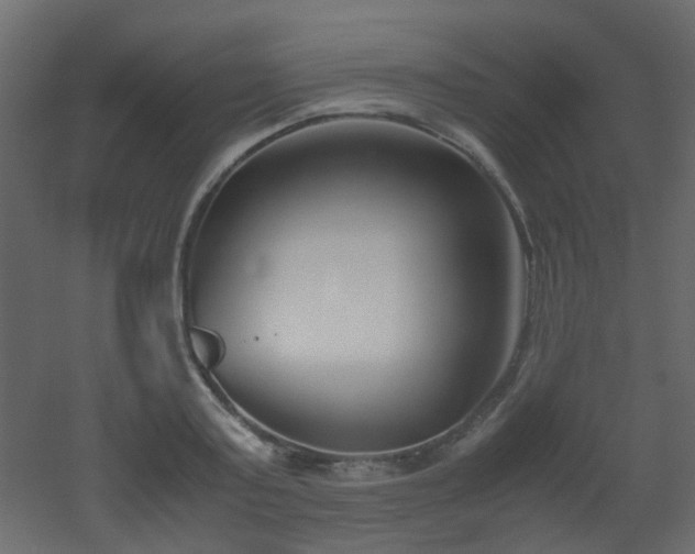 X0000051910795200506241441