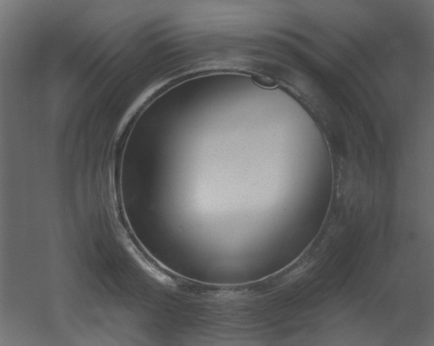 X0000051910796200506241441