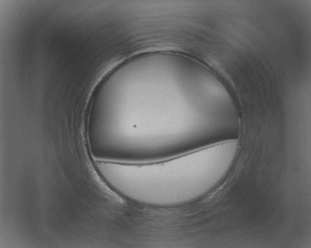 X0000051910797200506241441