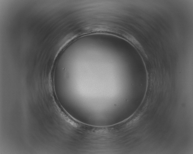 X0000051910798200506241441