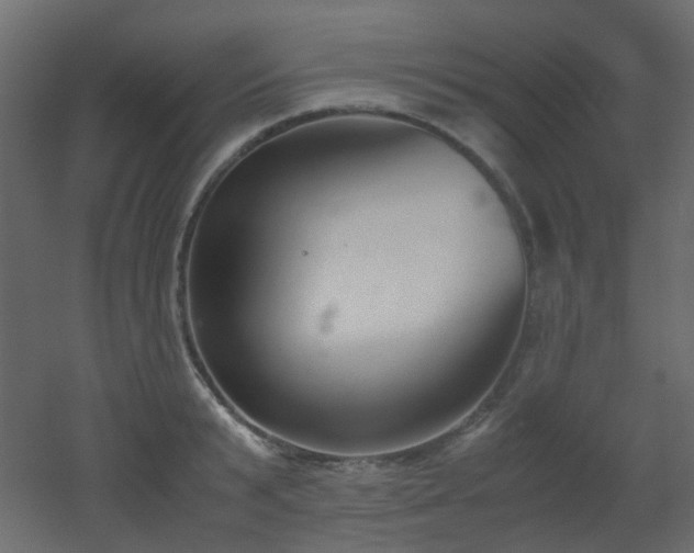 X0000051910799200506241441