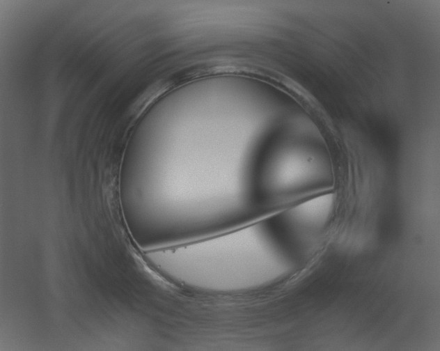 X0000051910801200506241441