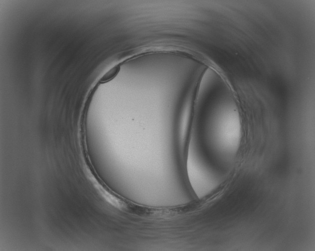 X0000051910803200506241441