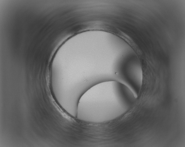 X0000051910804200506241441