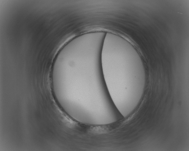 X0000051910806200506241441