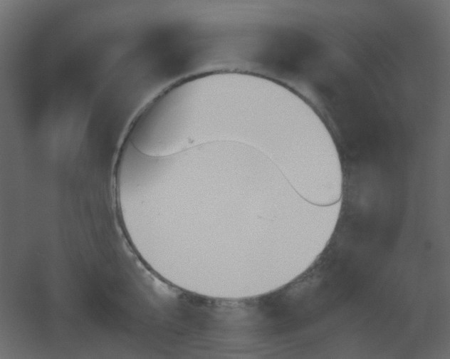 X0000051910807200506241441