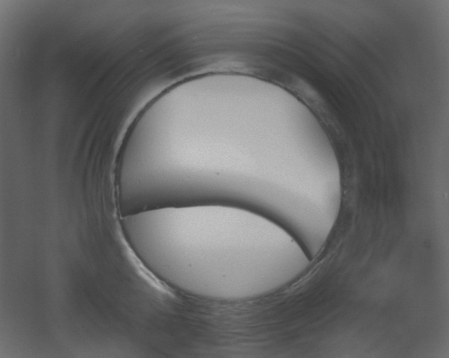 X0000051910808200506241441