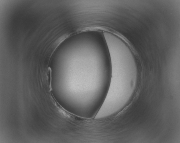 X0000051910809200506241441