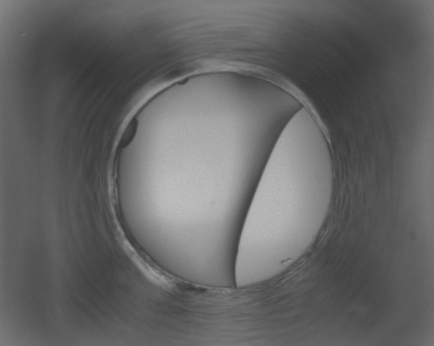 X0000051910811200506241441