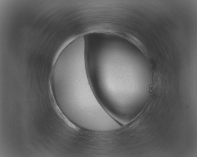 X0000051910812200506241441